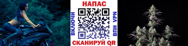 Продажа наркотиков Верхний Тагил Галлюциногенные грибы A PVP Гашиш Канабис