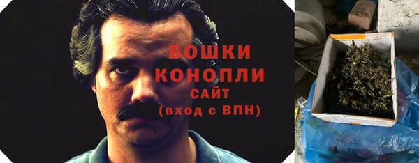 амф Аркадак